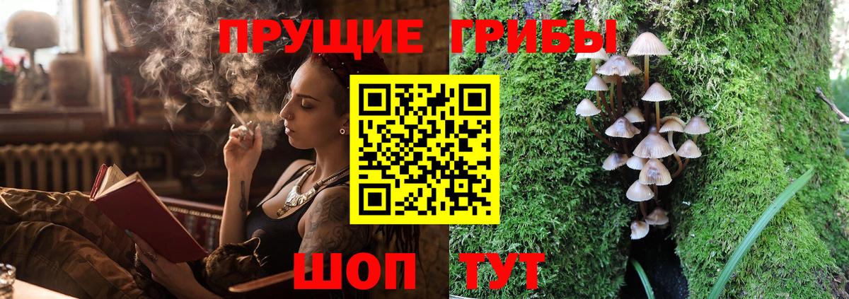 Галлюциногенные грибы прущие грибы  Псилоцибиновые грибы Psilocybine cubensis  Усть-Джегута  Вход с VPN 